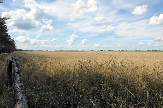 20100729WandHundskopfsee042Ab