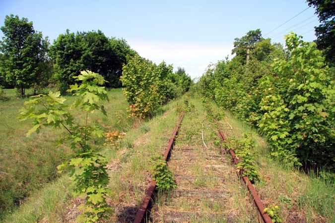 20110520LucknitzAckerlandBuhse02